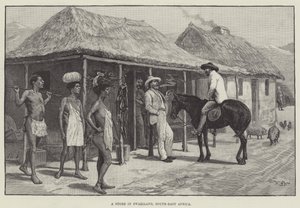 Una tienda en Suazilandia, Sudeste de África de William Barnes Wollen